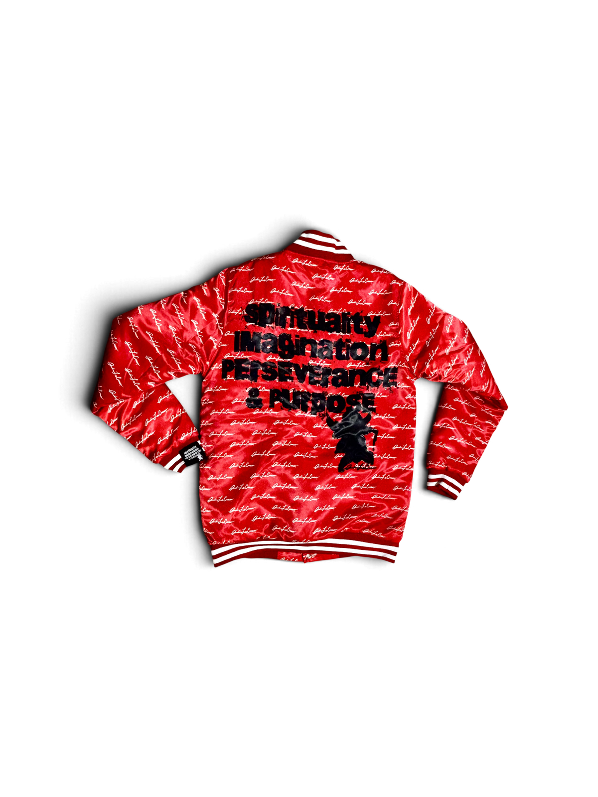 1 of 1 Hand Painted Andrew LaCasso Bomber Jacket (Medium)
